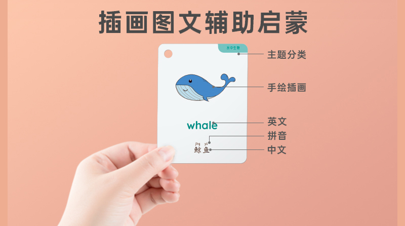 學前幼兒(ér)拼音(yīn)卡片