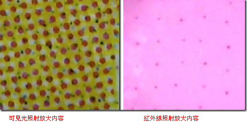 印刷有(yǒu)點讀(dú)碼的(de)繪本是(shì)怎麽制(zhì)作(zuò)的(de)1.png